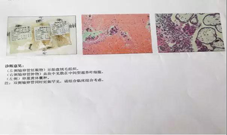 微信图片_20180727164158.jpg